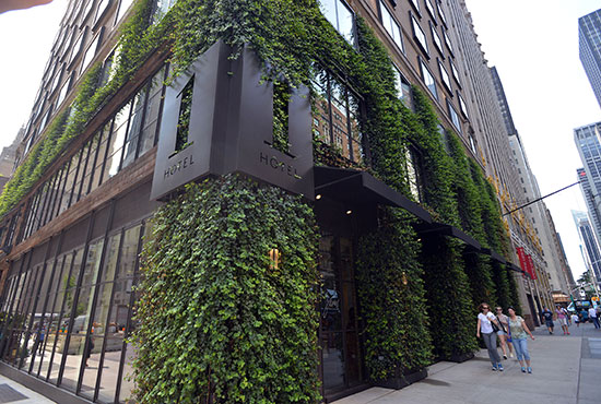 Evergreen Environments transforms parts of the concrete jungle into vertical living walls, such as these on 1 Hotel Central Park on Sixth Avenue in Manhattan.